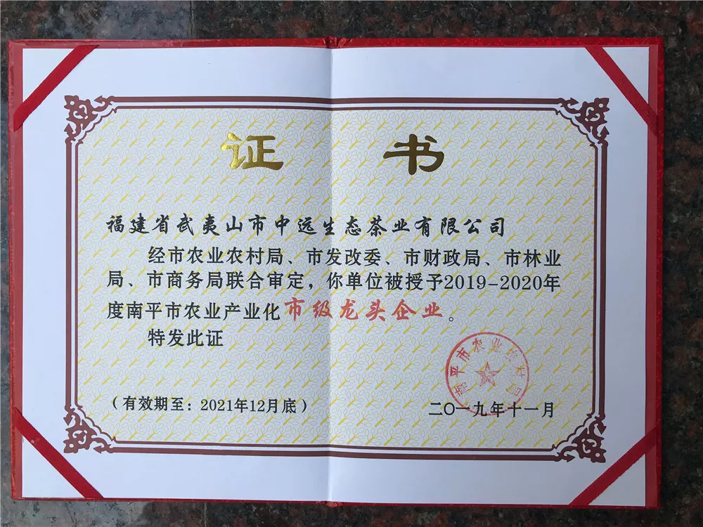 市龙头企业