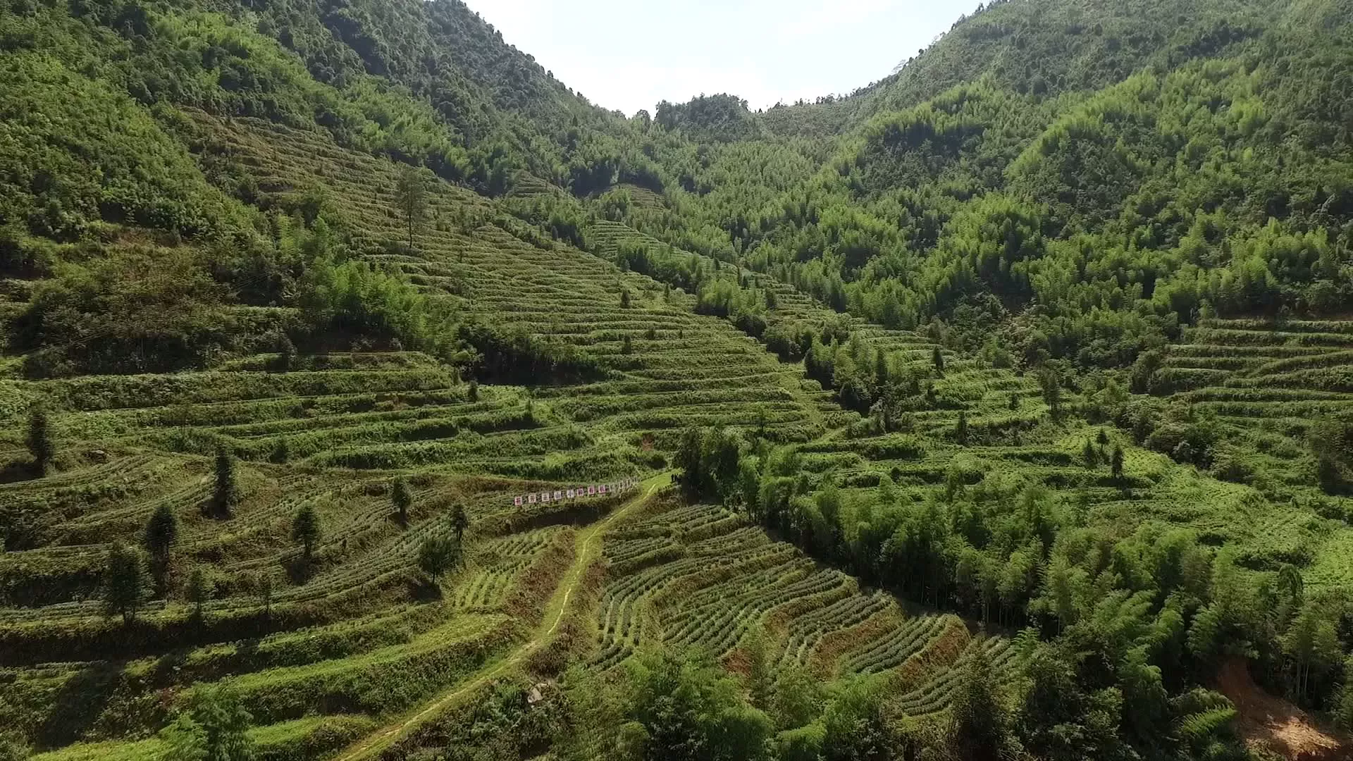 光泽茶山基地