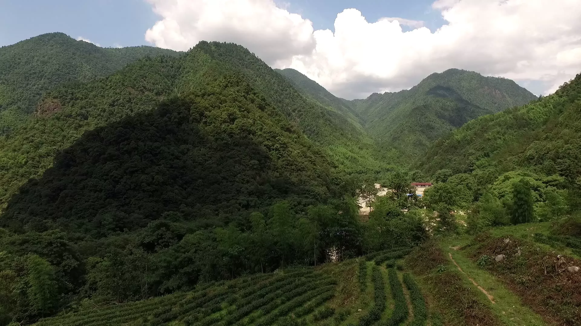 光泽茶山基地